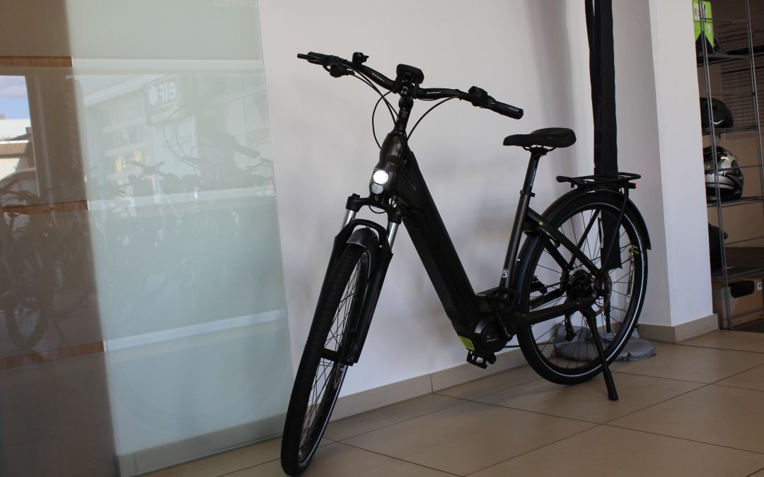 E-Fire City R760i EP2 dunkelbronze3.199 €